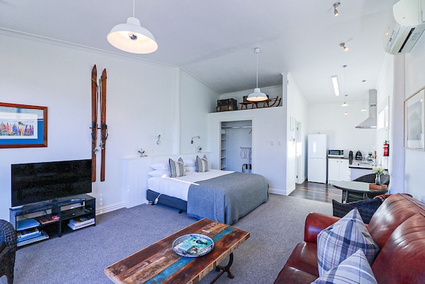 Large light bright studio apartment