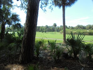 the view