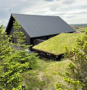 Udendørsområde