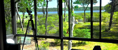 Newly added Four-Seasons Sunroom brings the outdoor living inside