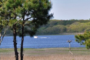 Overlooking bay The Let, nesting osprey and cruiser, June 2019