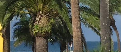 View of beach and ocean from fromt room of house.