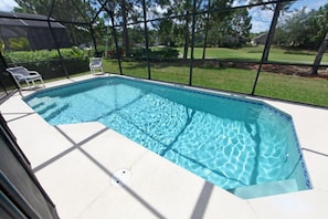 Southern Exposure In-ground pool