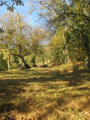 Boendeområde