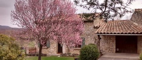 La maison au printemps.
