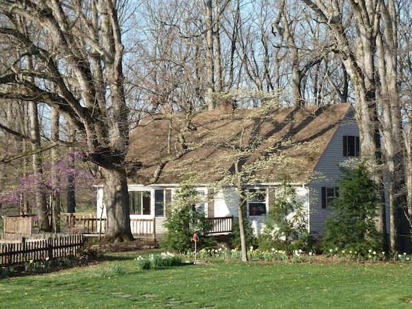 Oak Tree Cottage in the spring.
