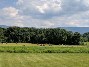 Hay bales on the farm. Mountains in the background.