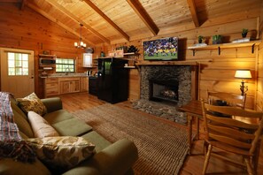 Gas fireplace 