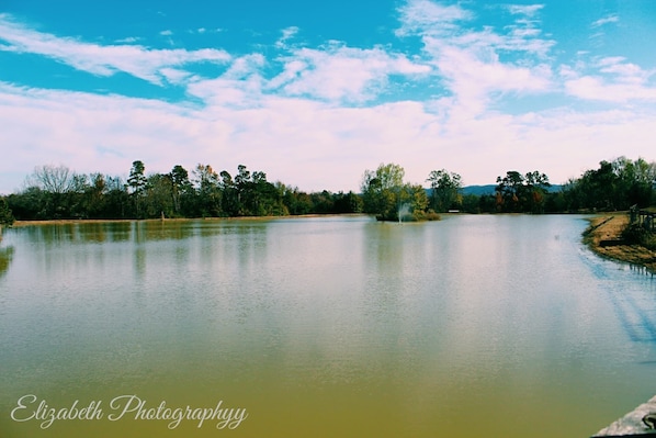 This tranquil setting awaits you, have a restful stay at Shady Cabana Cabin.