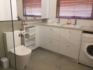 New bathroom on ground floor Wedge 2