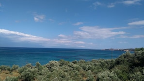 Strand