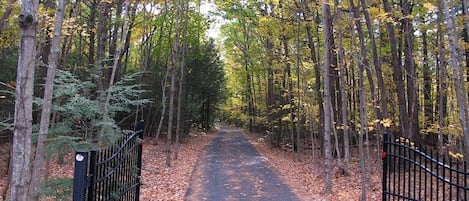 The entrance to the property