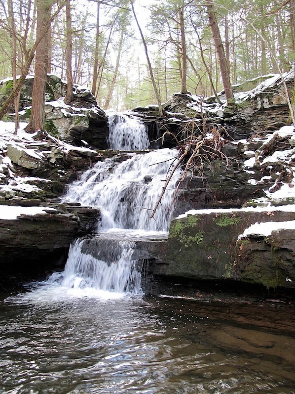 Waterfall in the woods