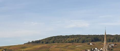 vue du salon sur le vignoble 