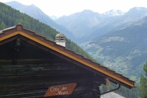 view