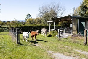 The Shearers' Retreat uses sustainable gardeners whenever possible! ;)