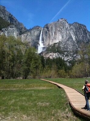 Beautiful Yosemite Falls - just a few minutes away!