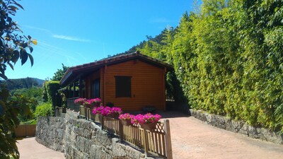 Picture of villa