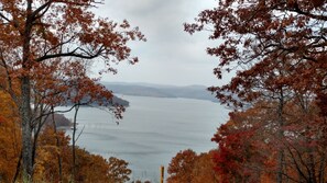 Beauty in the Ozarks in my neighborhood