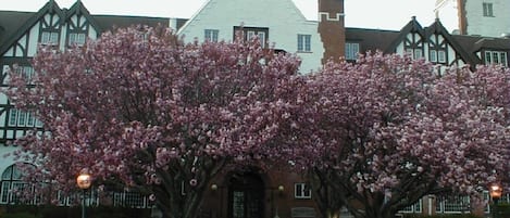 Front Entrance