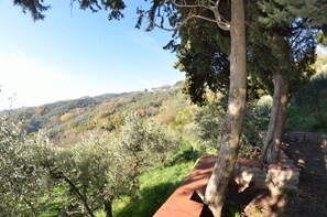 Scenic View