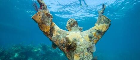 Dive or Learn to Dive at Conch Republic Divers!  Just 4 minutes away!