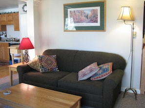 Queen sleeper sofa in living room