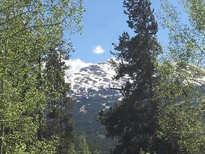 Enjoy stunning mountain views of the Ten-Mile range!