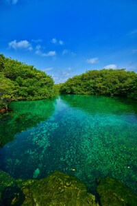 A distancia frente al mar Bungalow en Cenote!