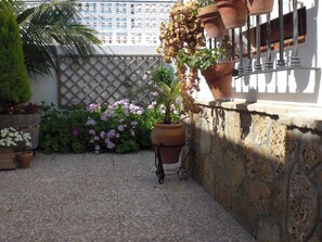 external view