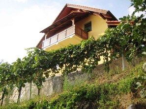 external view