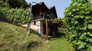 external view