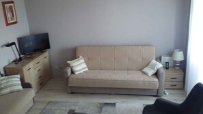 living/bedroom