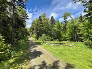 Long driveway to the cabin. Set back from the road with pond.