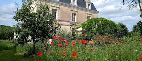 Misse house with wildflower meadow.