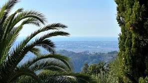 Himmel, Natürliche Landschaft, Terrestrische Plant, Vegetation, Arecales, Baum, Landschaft, Pflanze, Palme, Wald
