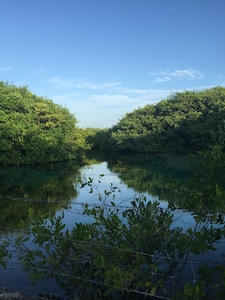 Bungalow directamente en la playa y Cenote!