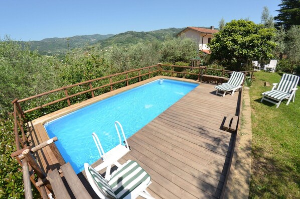 Garden, Outdoor, Pool