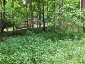 Boendeområde