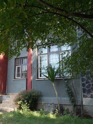 another side view