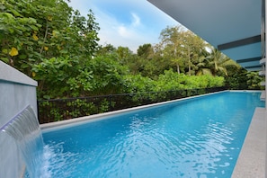 25 meter swimming pool surrounded by tropical bushland