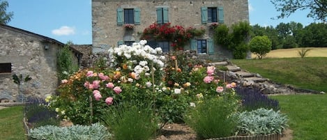 English country garden in France.