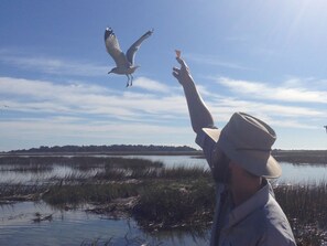 Our son Daniel feeding the seagulls