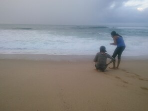 Locals saving baby turtles