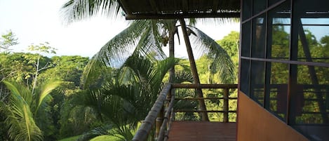 View above jungle canopy to beach.