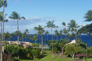 Tropical Greenbelt, 3 Minute Walk to Pool, Pavilion, and Ocean for Swimming