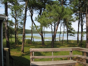 View from the Deck