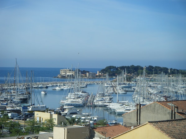 Marina
