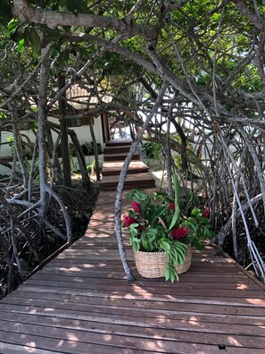 Entrance