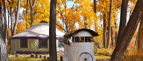 We have the composting toilet in an old Horse Trailer with Grove Yurt behind.